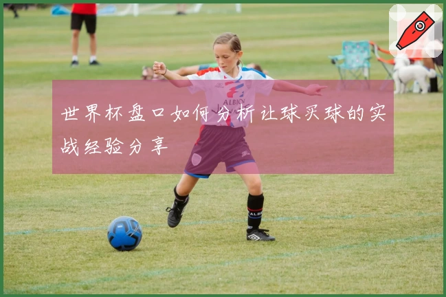 世界杯盘口如何分析让球买球的实战经验分享