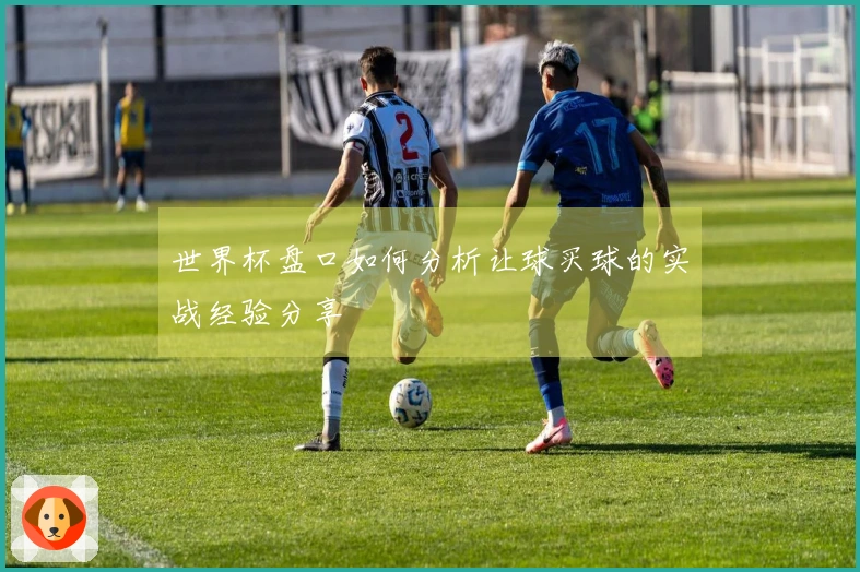 世界杯盘口如何分析让球买球的实战经验分享