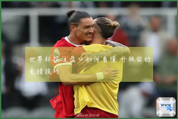 世界杯投注盘口如何看懂 升级你的竞猜技巧