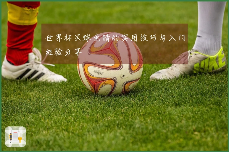 世界杯买球竞猜的实用技巧与入门经验分享