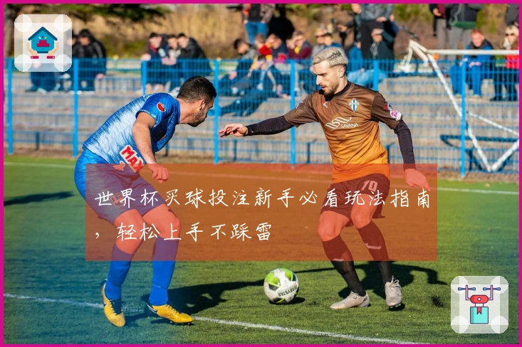 世界杯买球投注新手必看玩法指南，轻松上手不踩雷