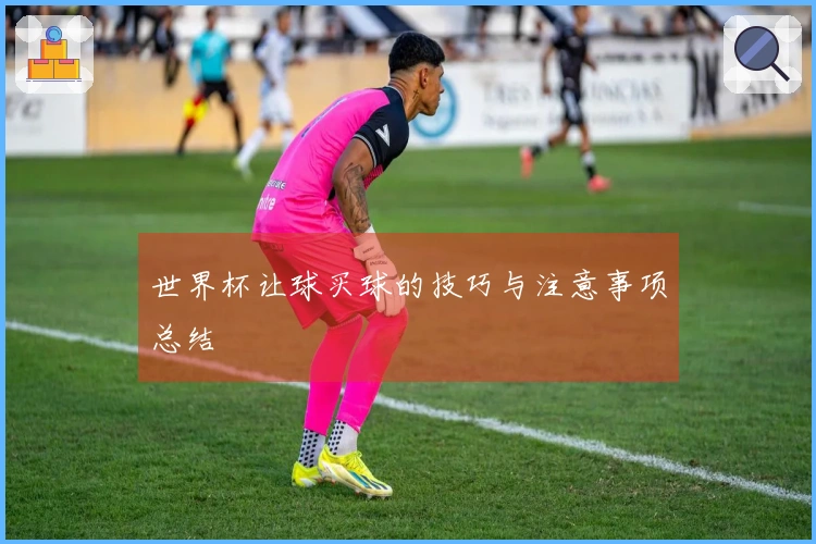 世界杯让球买球的技巧与注意事项总结