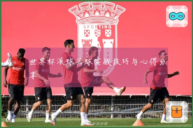 世界杯滚球买球实战技巧与心得分享