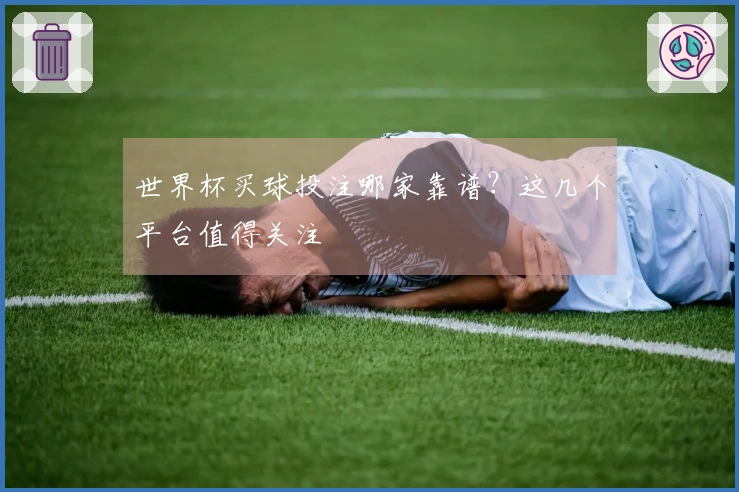 世界杯买球投注哪家靠谱？这几个平台值得关注