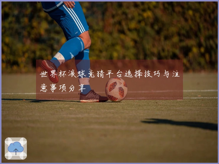 世界杯滚球竞猜平台选择技巧与注意事项分享