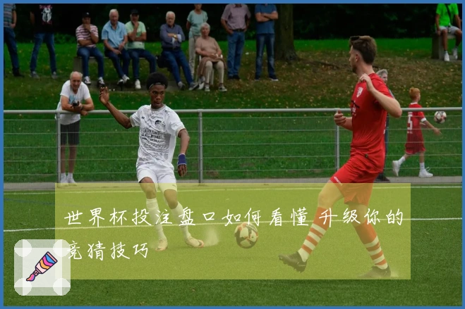 世界杯投注盘口如何看懂 升级你的竞猜技巧