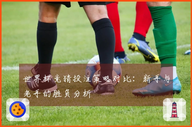 世界杯竞猜投注策略对比：新手与老手的胜负分析